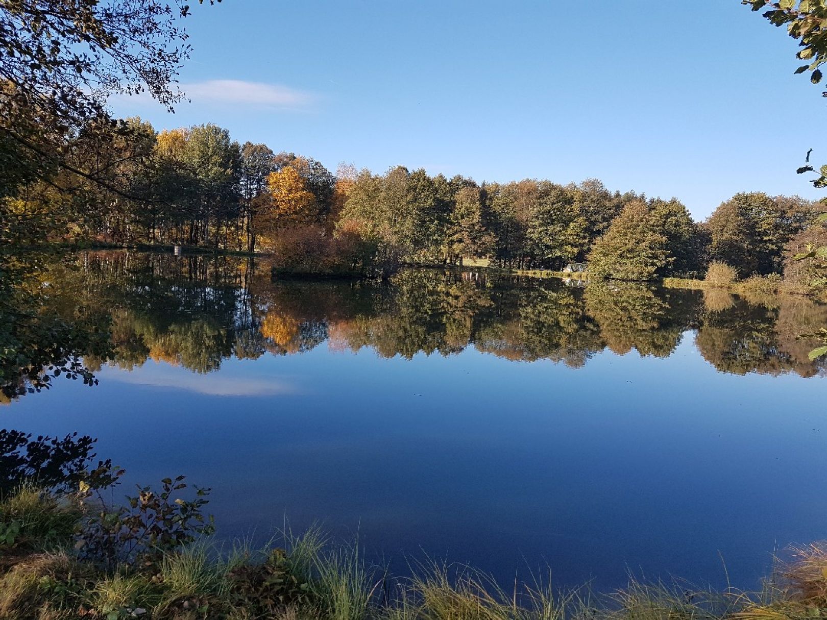 Roßnerteich (Förstenreuth) angeln