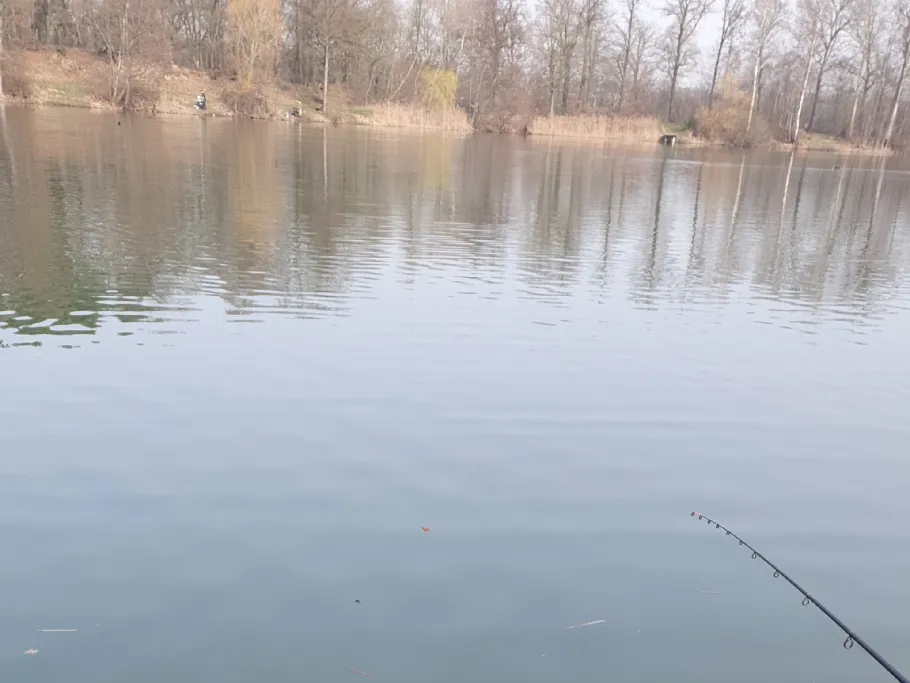 Baggersee Bült (Heeker See) angeln