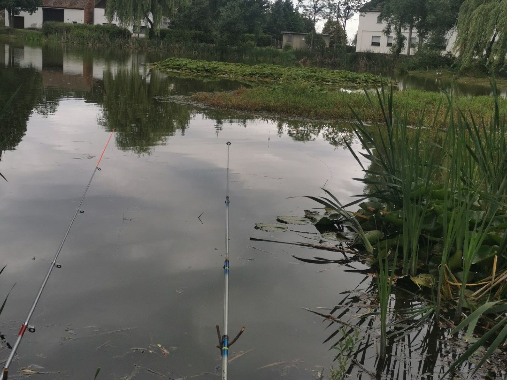 Teich Borgisdorf angeln