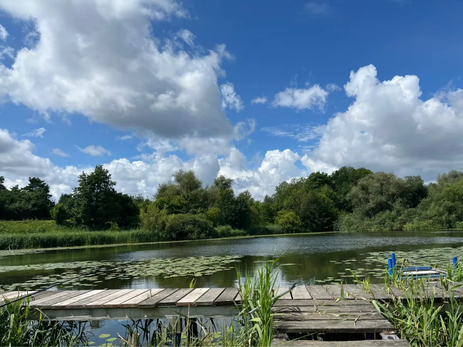 Mühlenteich (Dassow) angeln