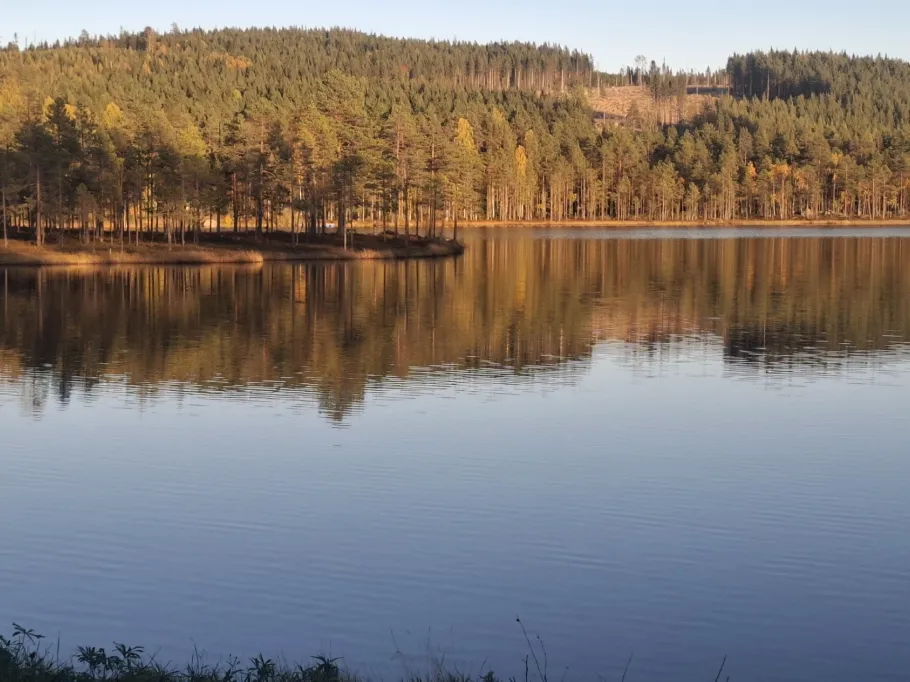 Matsbosjön angeln