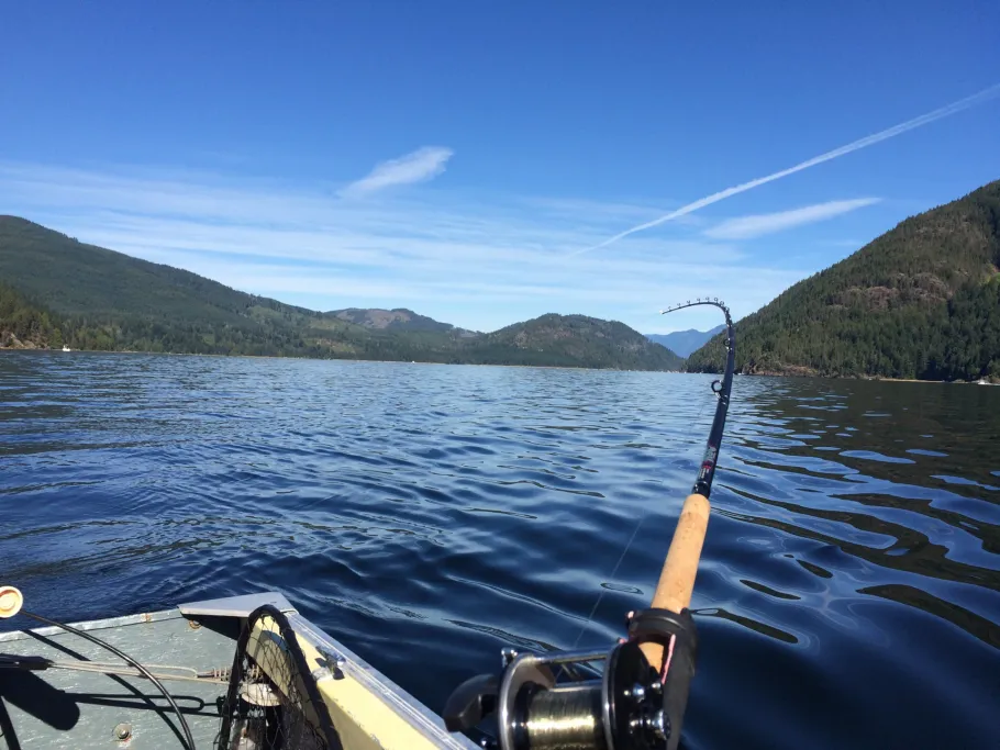 China Creek (Port Alberni) angeln