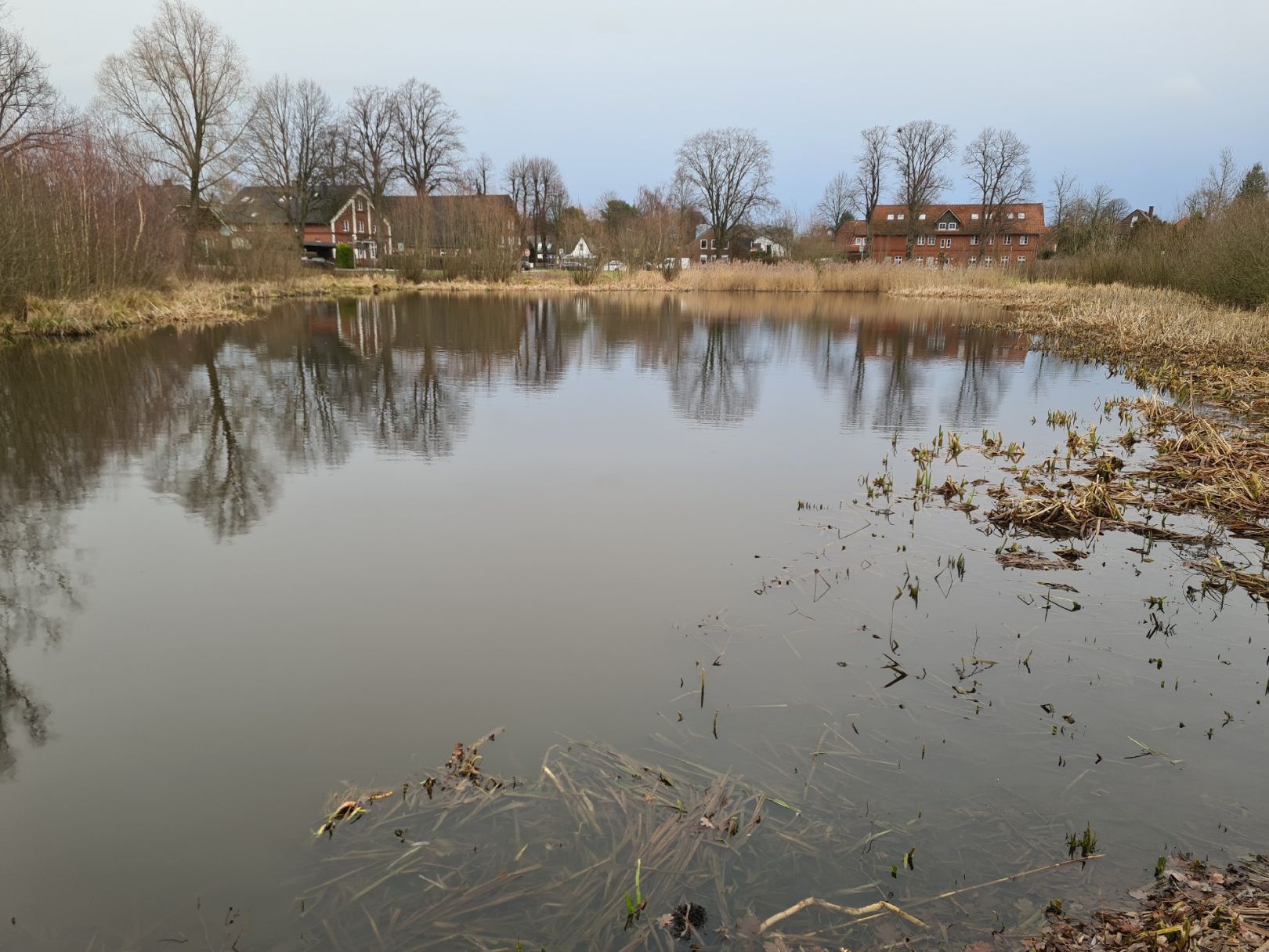 Reetteich (Reinbeck) angeln