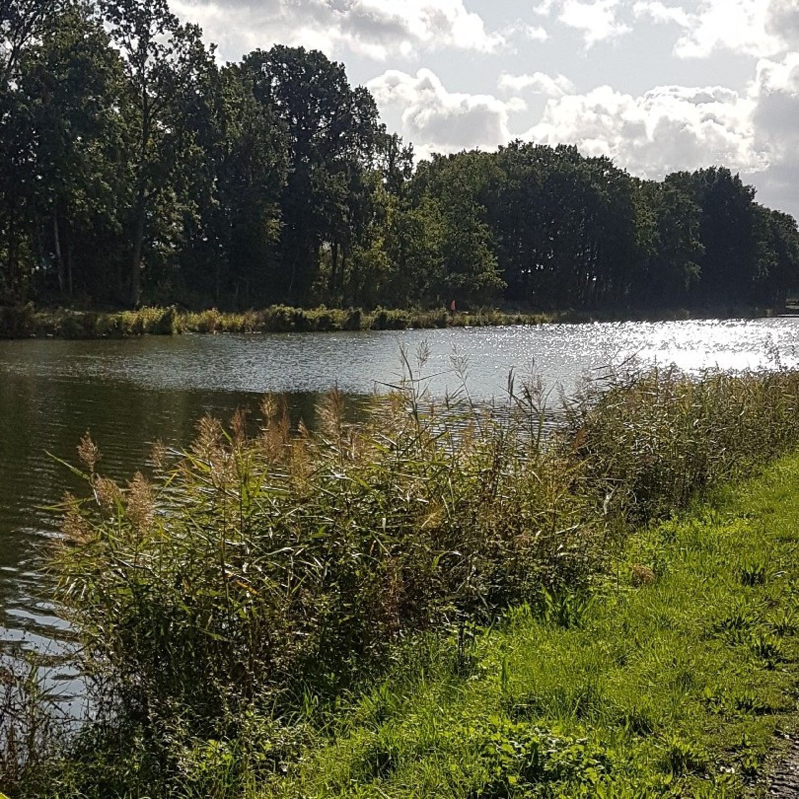 Stichkanal Osnabrück (Wallenhorst) angeln
