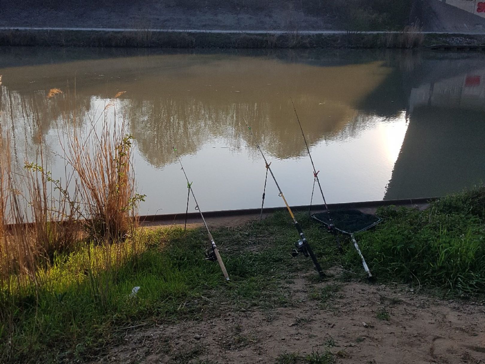 Mittellandkanal (Hannover) angeln