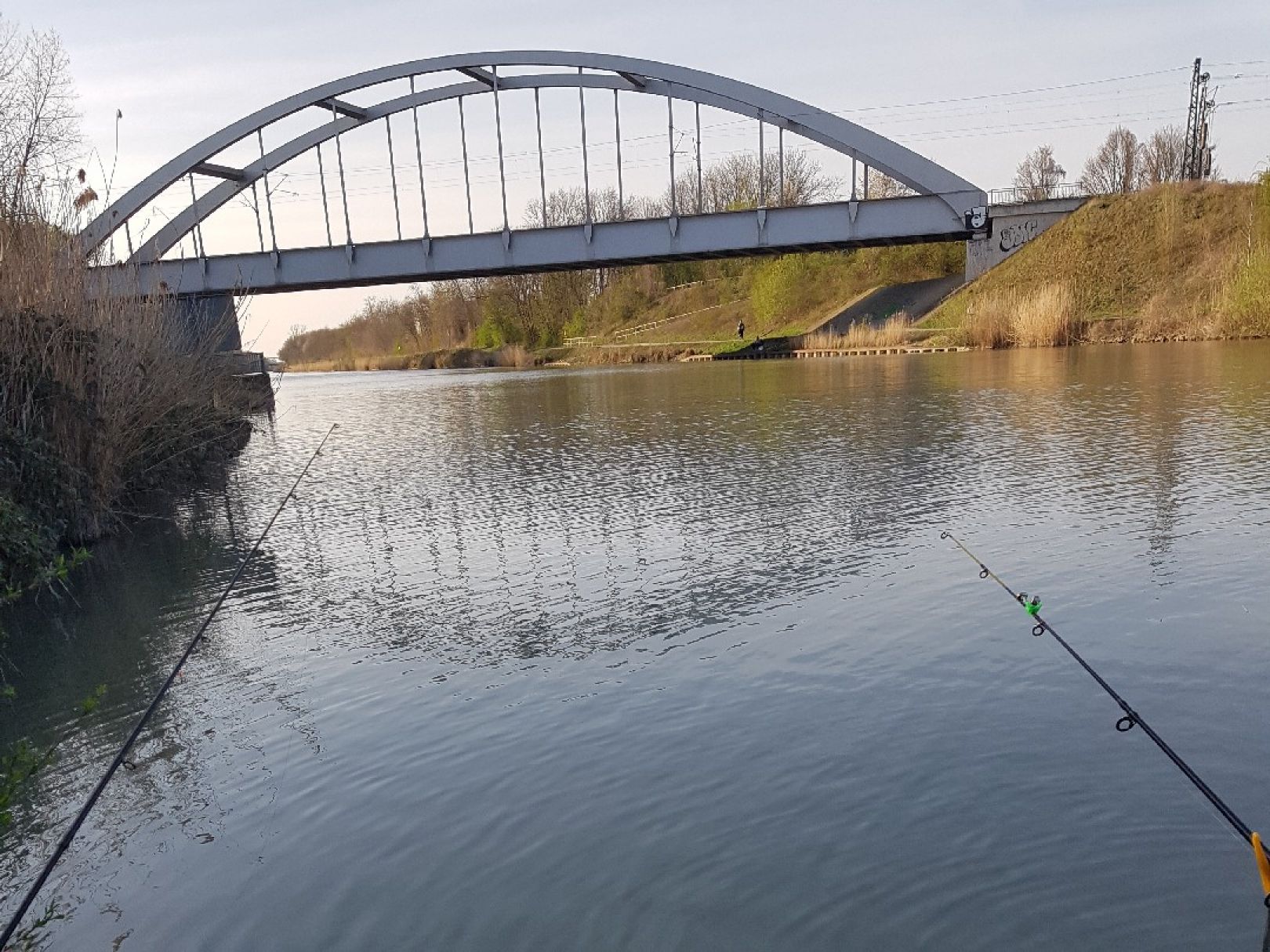 Mittellandkanal (Hannover) angeln