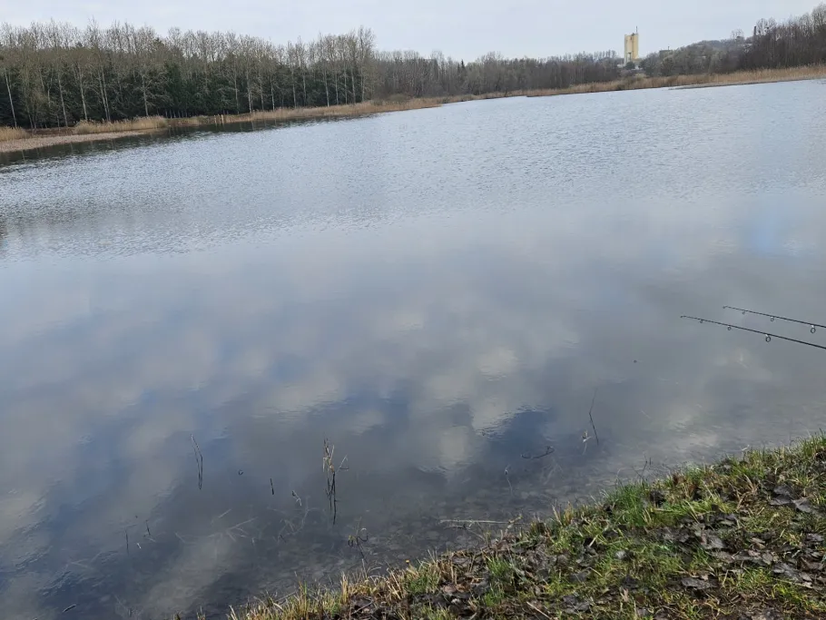 Rethwiese A (Wendorf) angeln