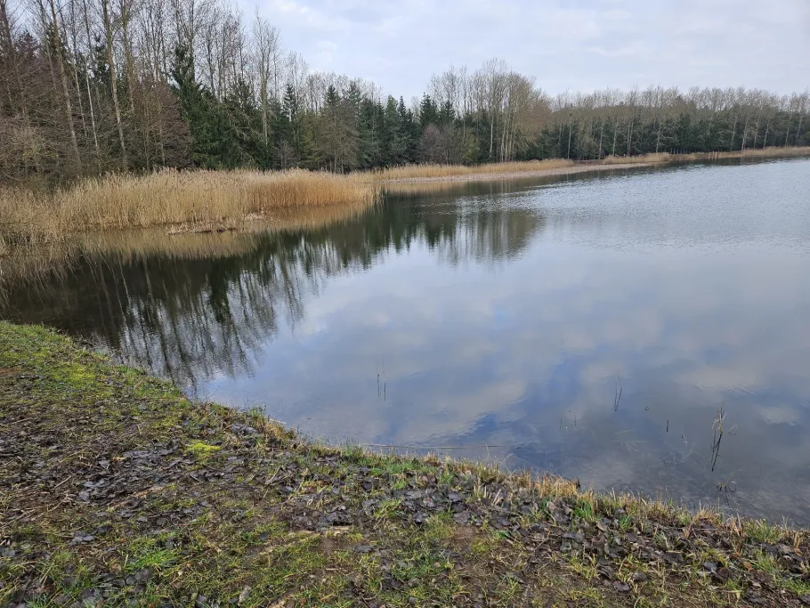 Rethwiese A (Wendorf) angeln