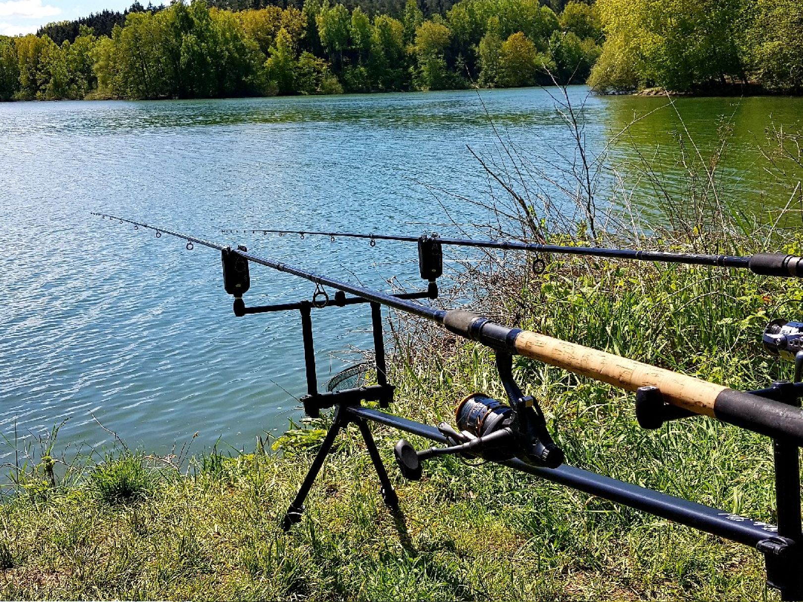 Ellertshäuser See angeln