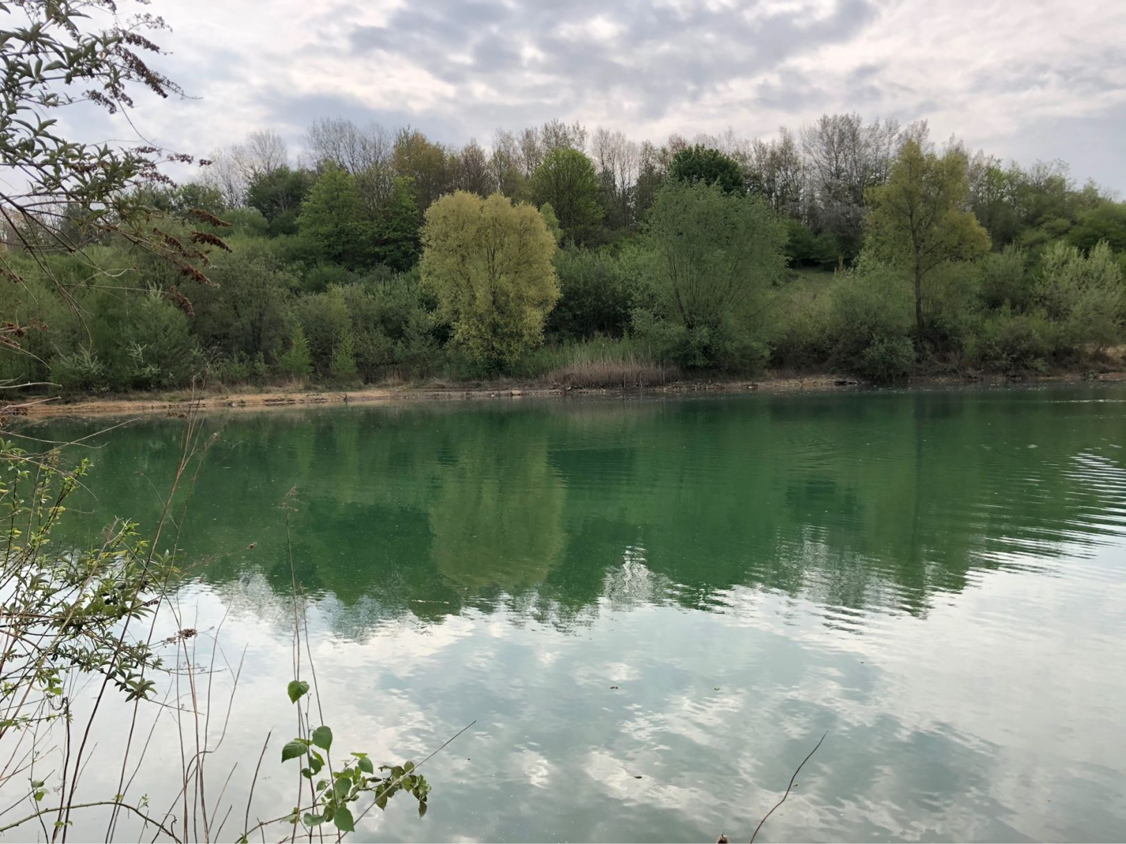 Baggersee Vorster Busch angeln