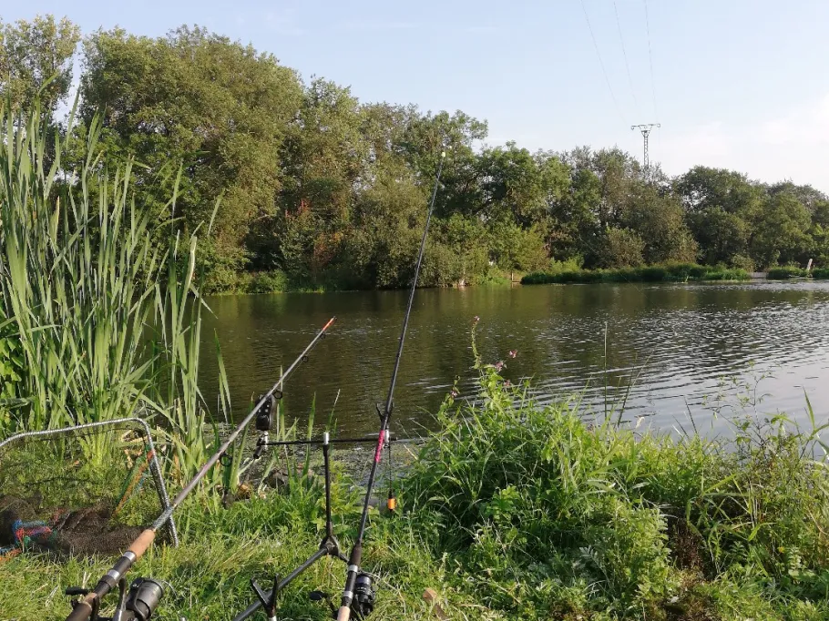 Saale (Wettin) angeln