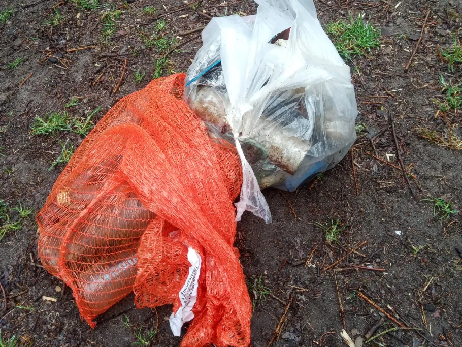 Wesenitz (Stolpen) angeln