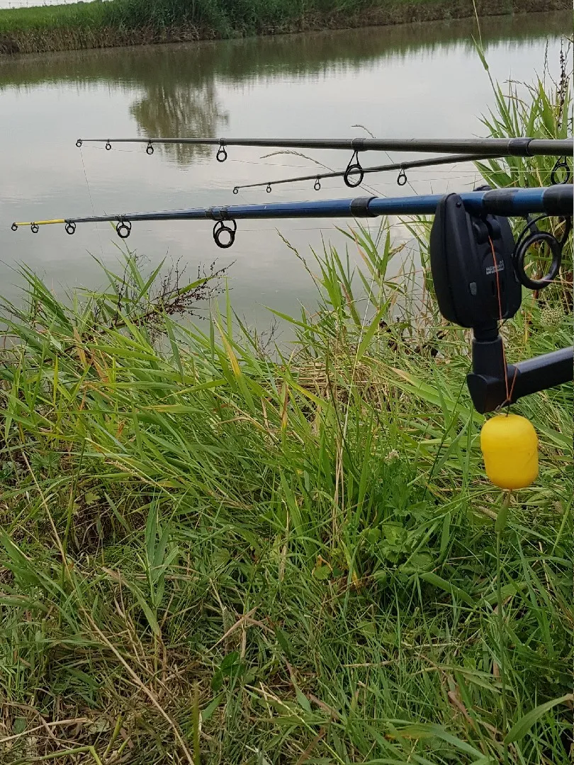 Strohauser Sieltief angeln