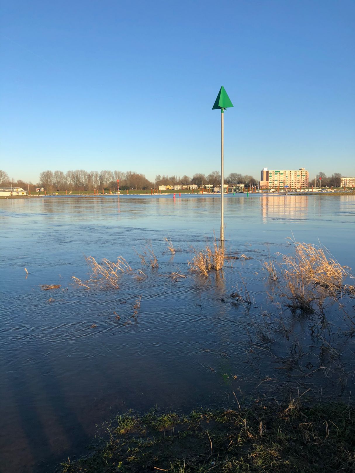 Ijssel (Doesburg) angeln