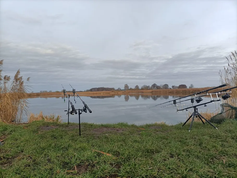 Torfstich (Krauschütz) angeln