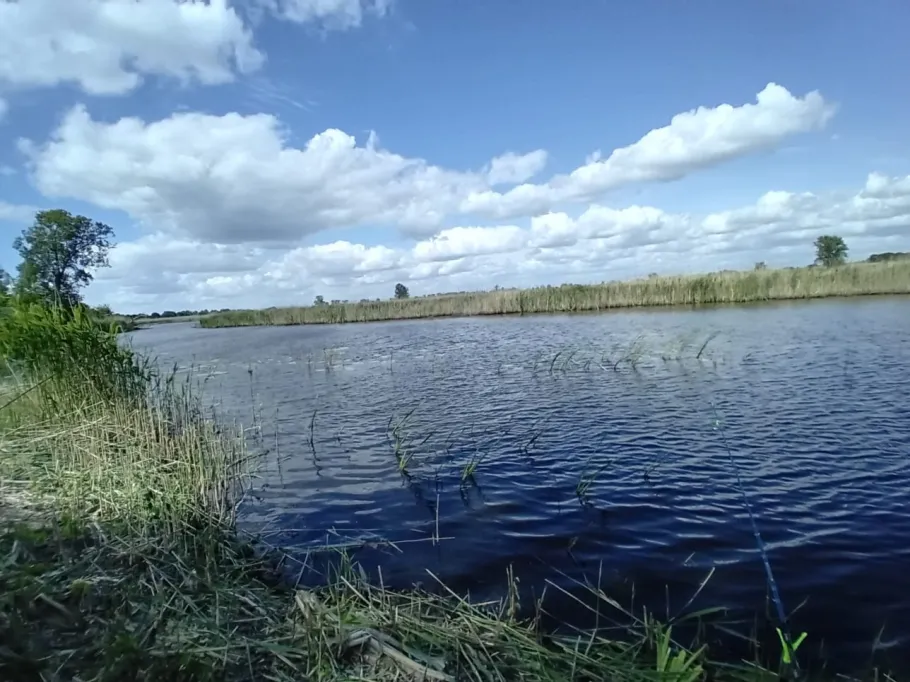 Wesicken (Sophiental) angeln