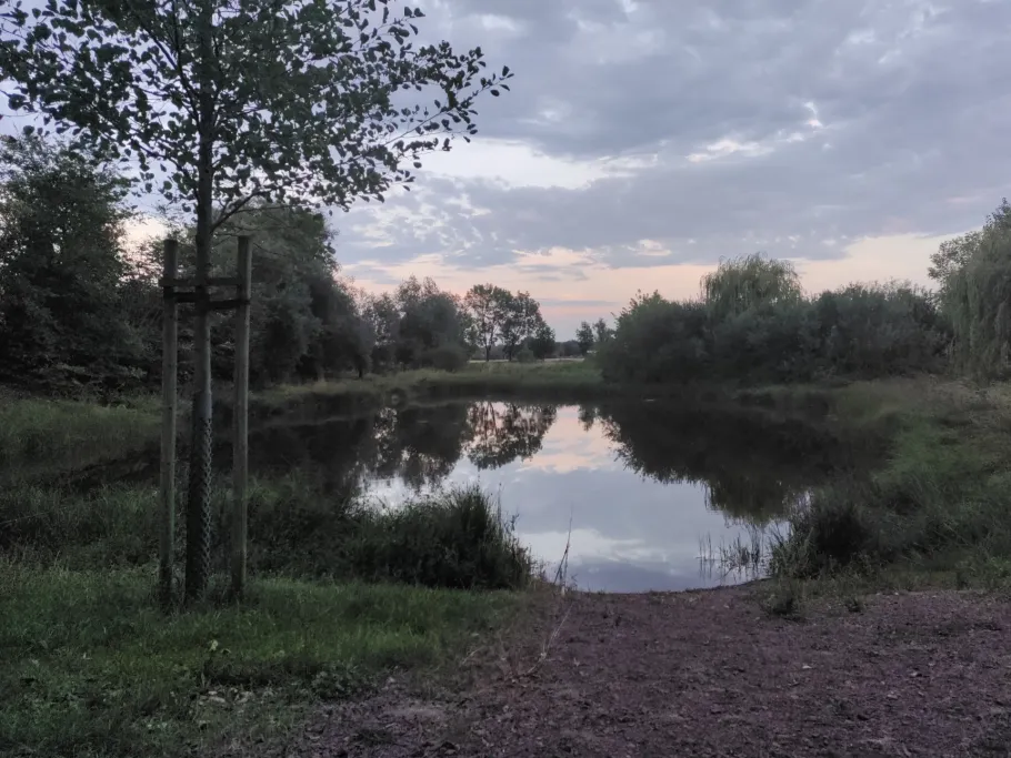 Dorfteich Wölkau angeln