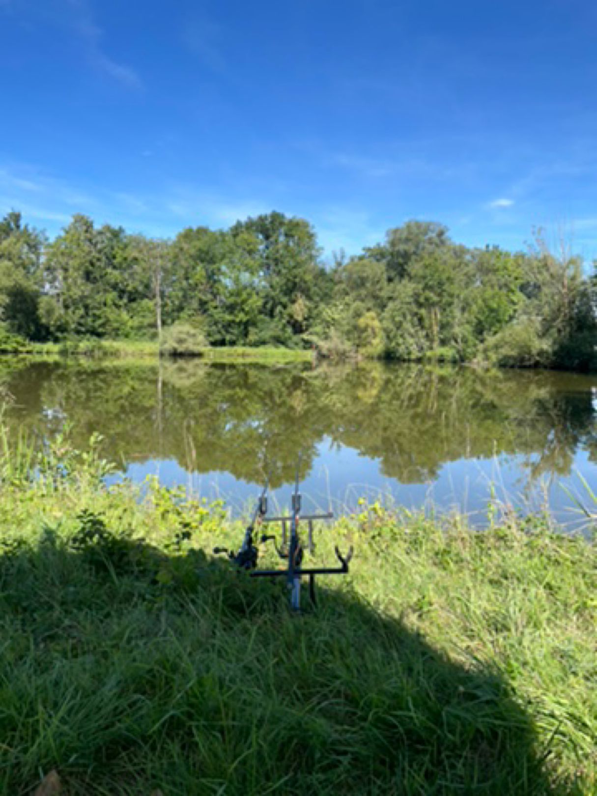 Köppelweiher (Allershausen) angeln