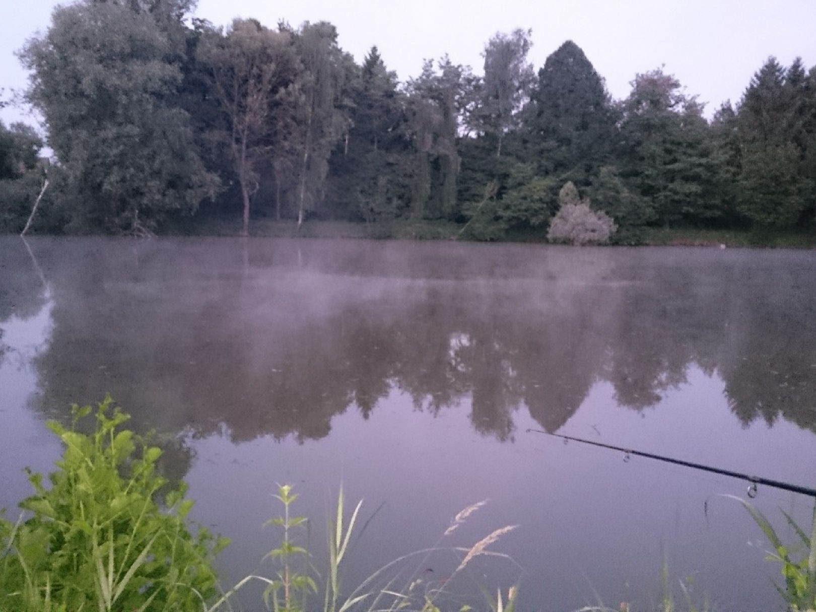 Köppelweiher (Allershausen) angeln