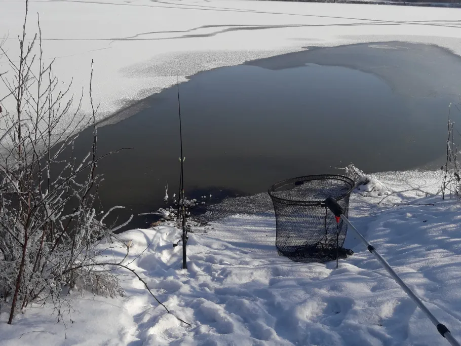 Baggerseen Waldau angeln