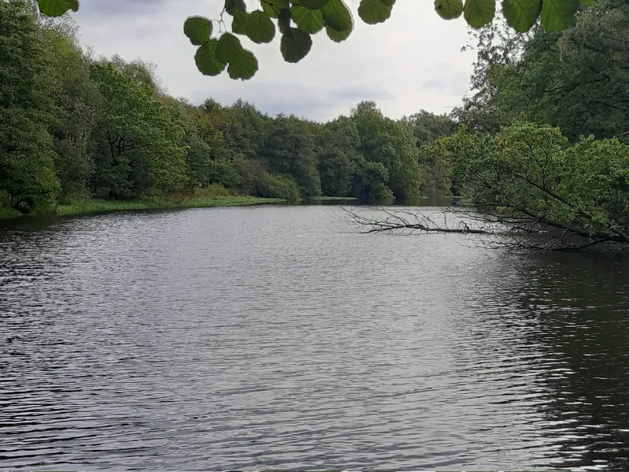 Lottbeker Stausee angeln
