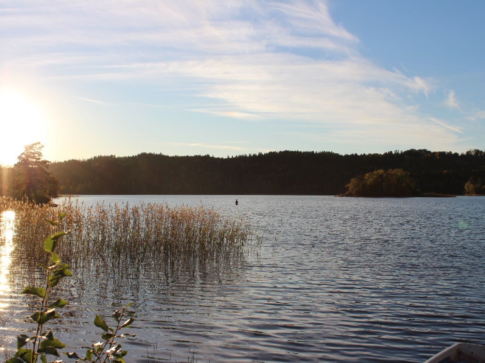 Lysjön angeln