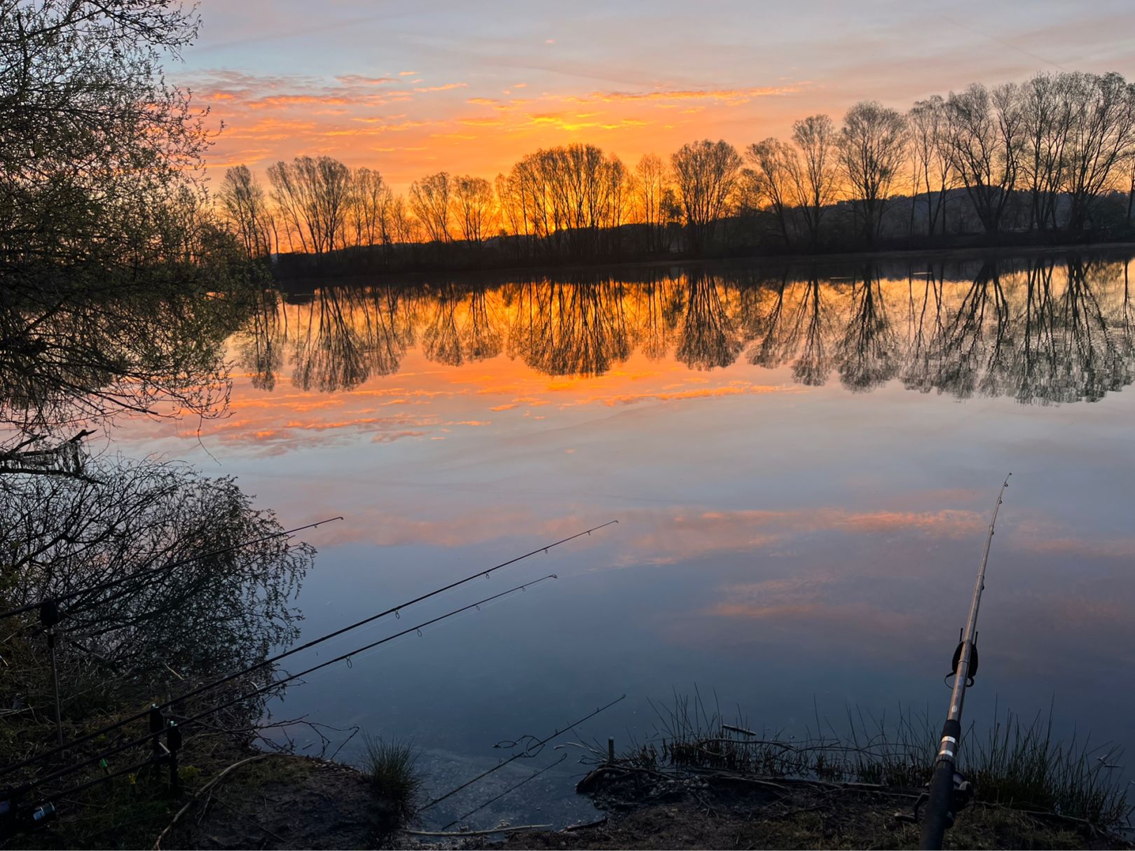 Weißweiher (Moosburg) angeln