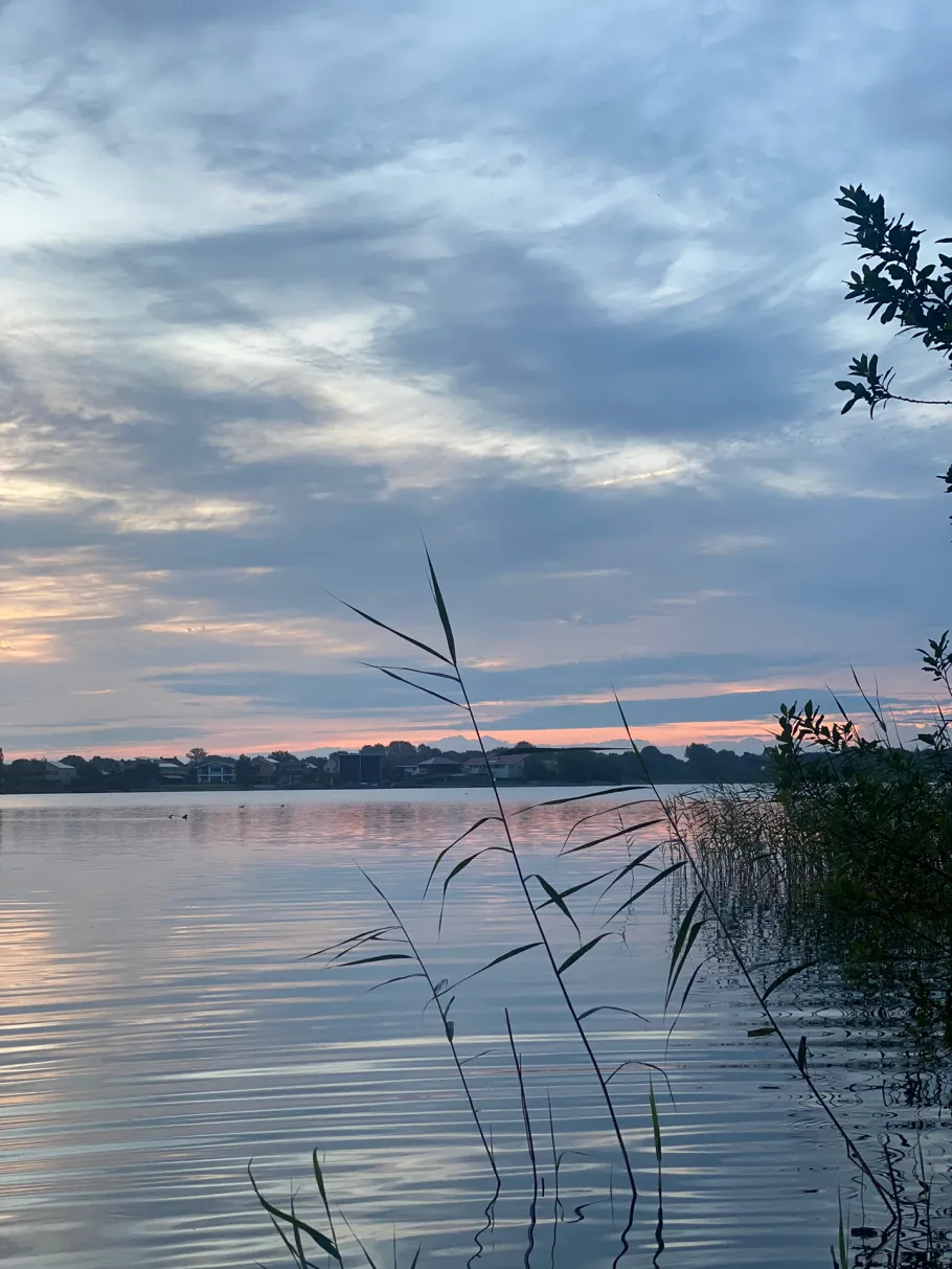 Holandsfjorden angeln
