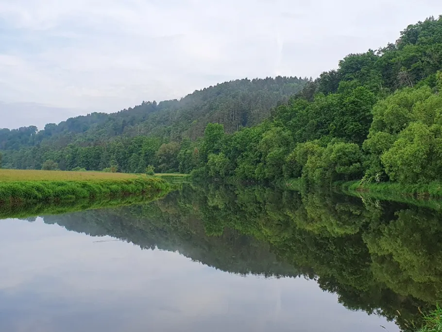 Regen (Dicherling) angeln