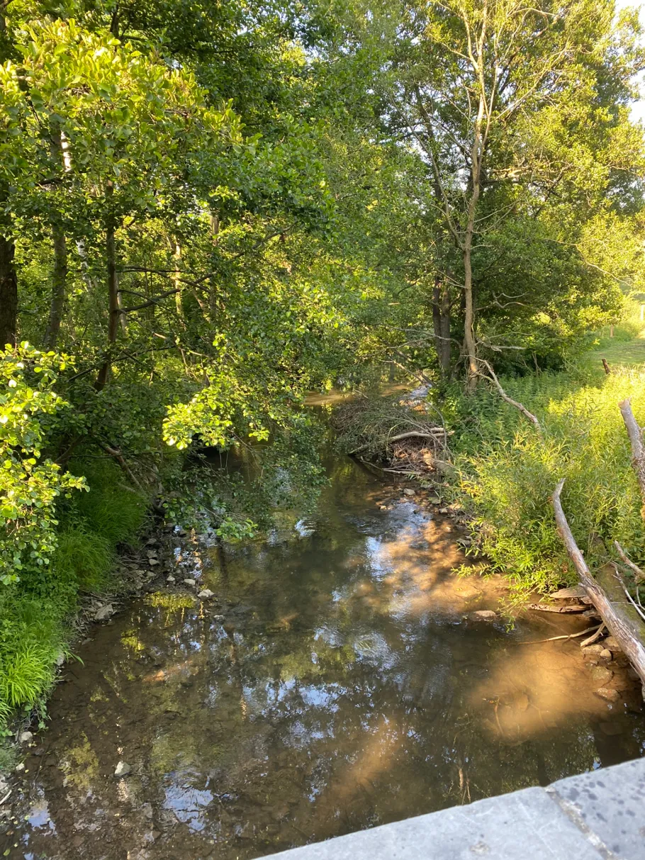 Inde (Aachen-Freund) angeln