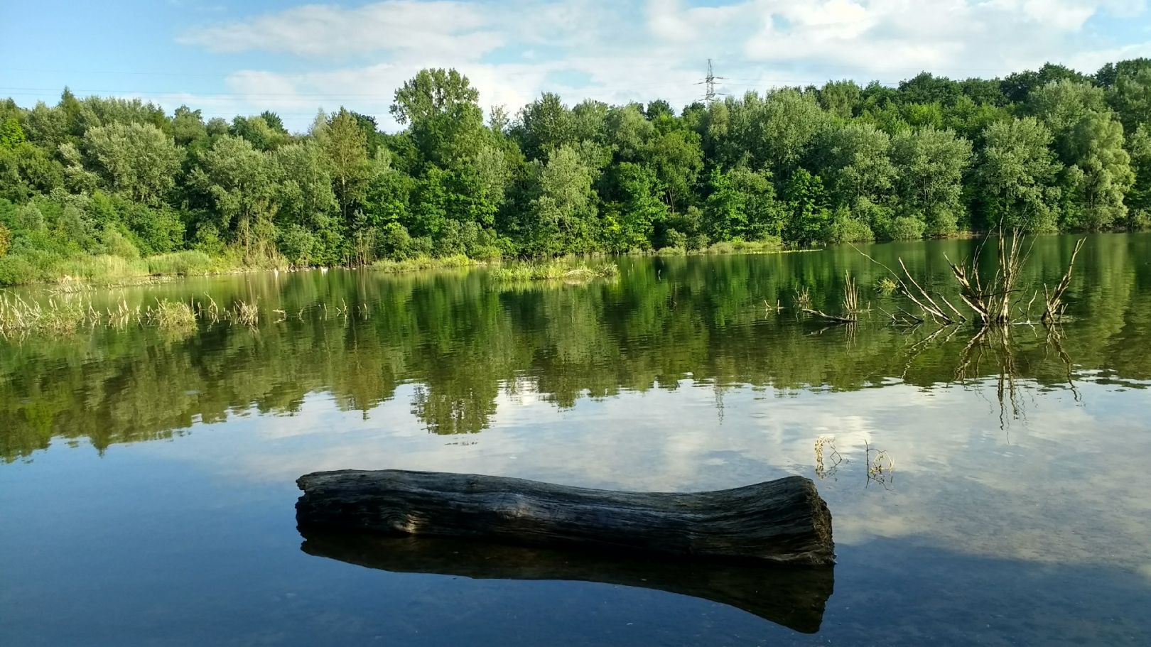 Höhenfelder See angeln