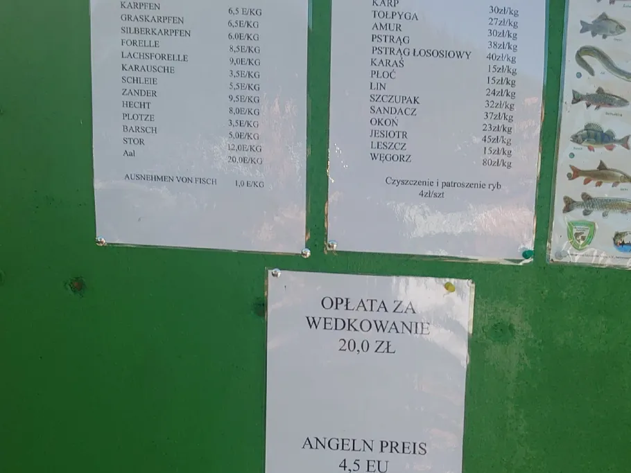 Fischteiche Bogatynia angeln