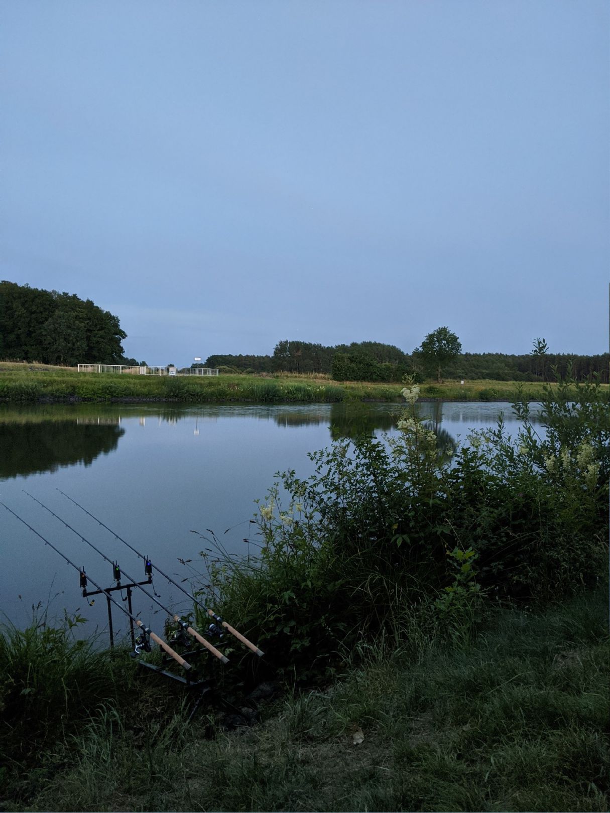 Elbe-Seitenkanal (Hankensbüttel) angeln