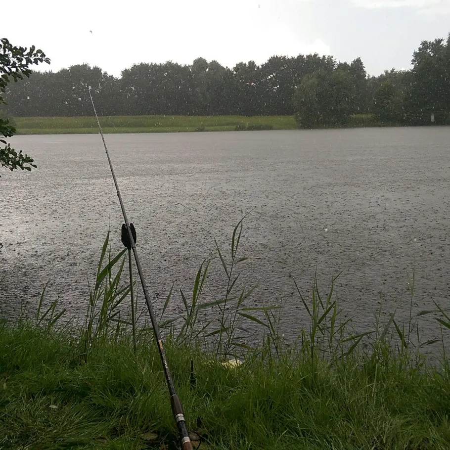 Tammenkolk (Bunderhee) angeln