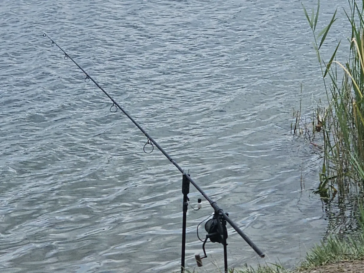 Schladitzer See angeln