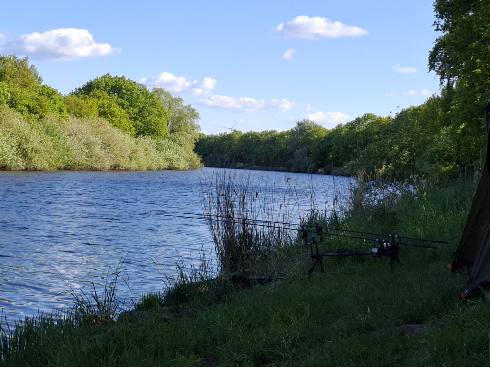 Gieselau-Kanal (Oldenbüttel) angeln
