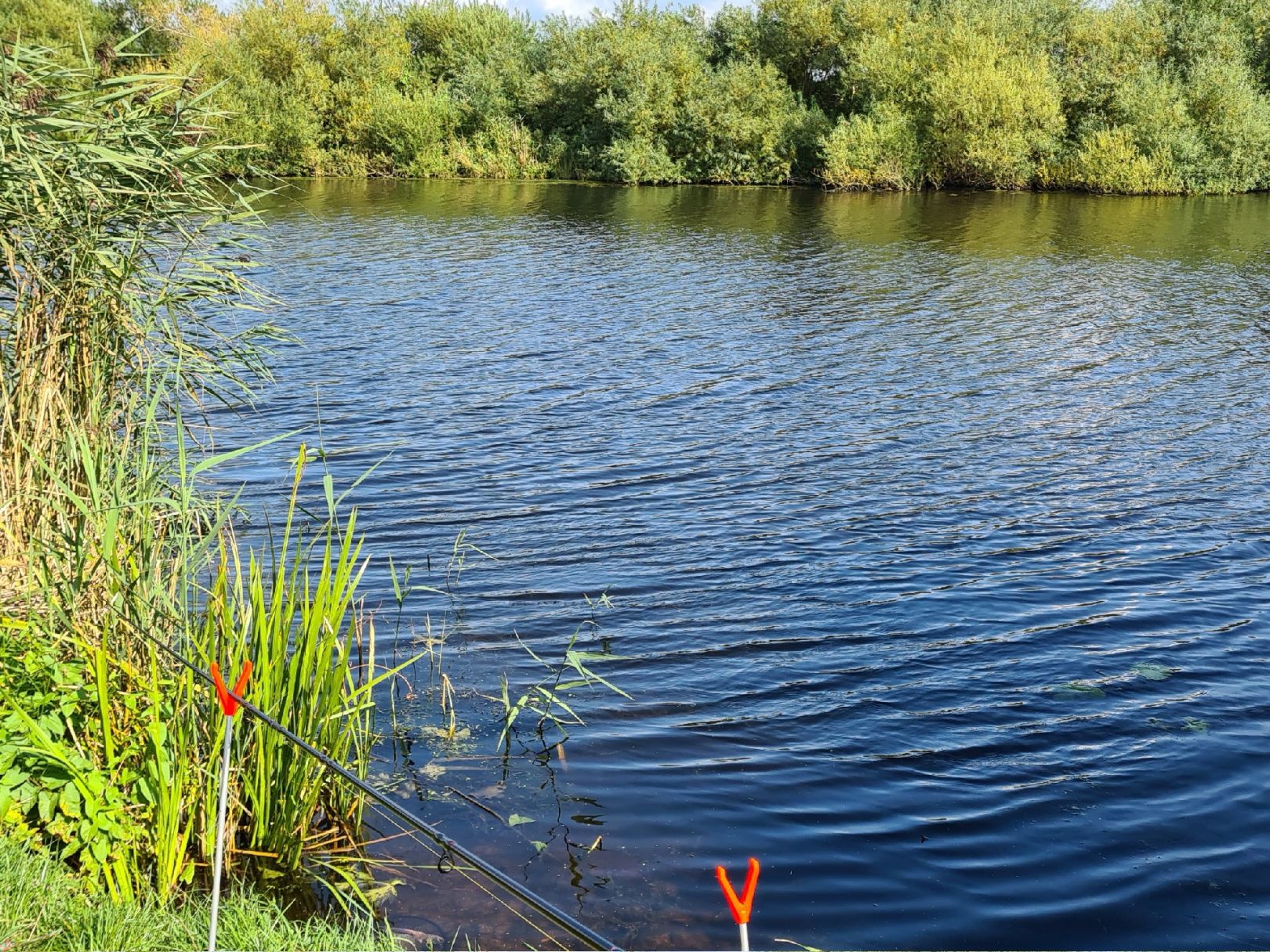 Gieselau-Kanal (Oldenbüttel) angeln