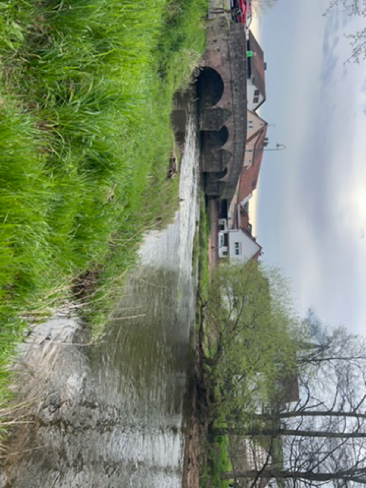 Sinn (Altengronau) angeln