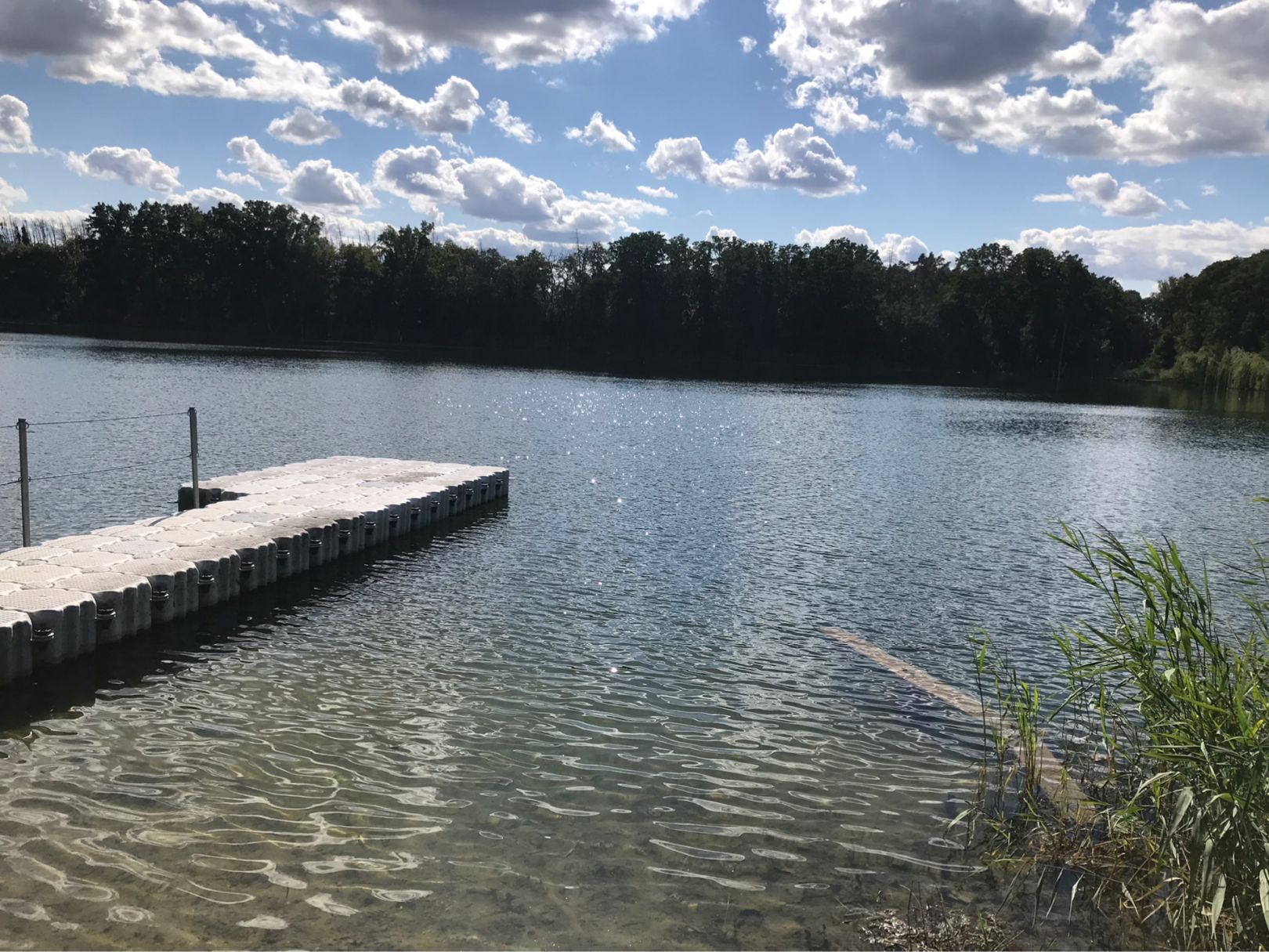 Schachtsee (Neugattersleben) angeln