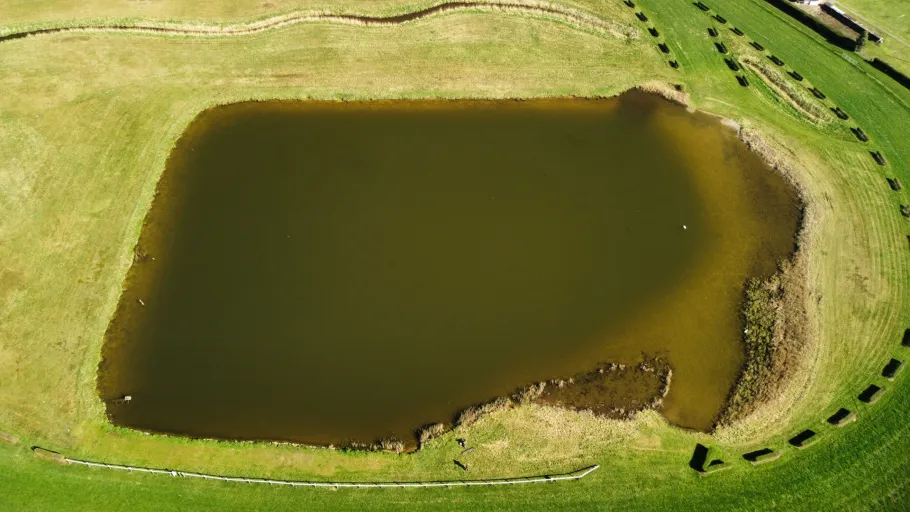 Rennplatzteich (Quakenbrück) angeln
