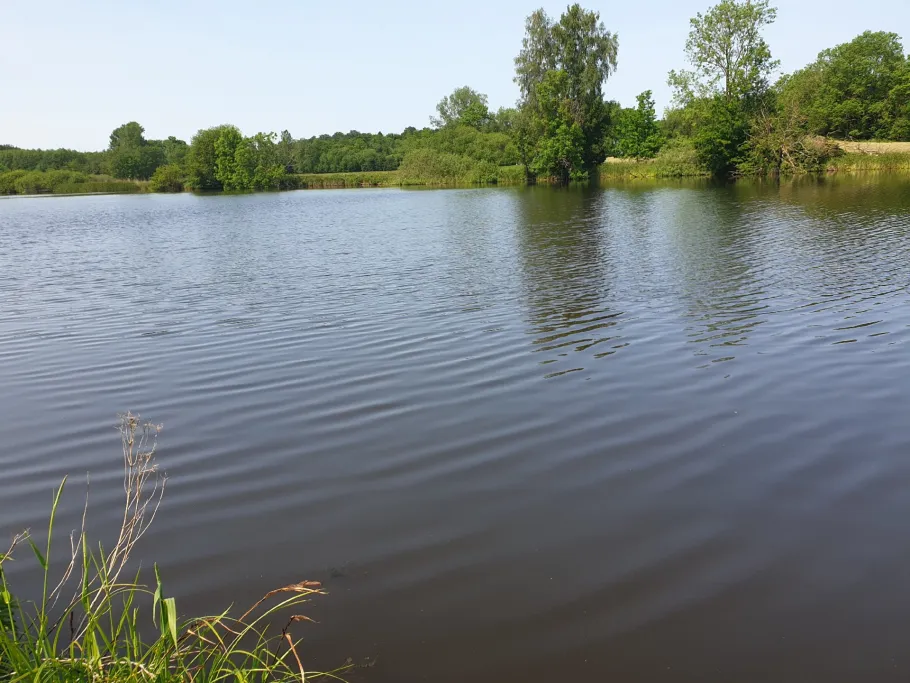 Pastitzer Torfstich angeln