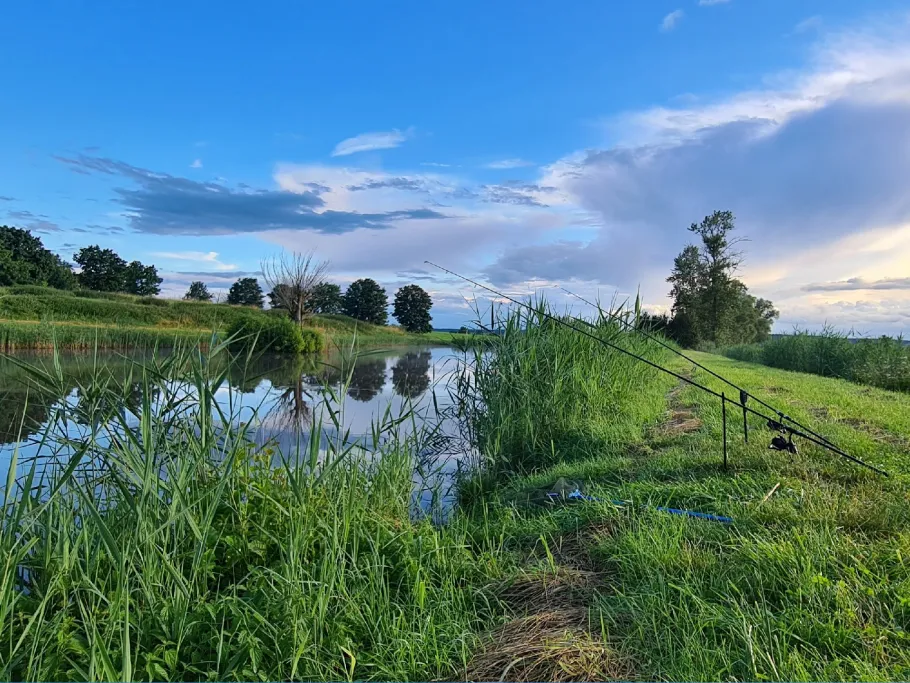 Tausendsee (Colmberg) angeln