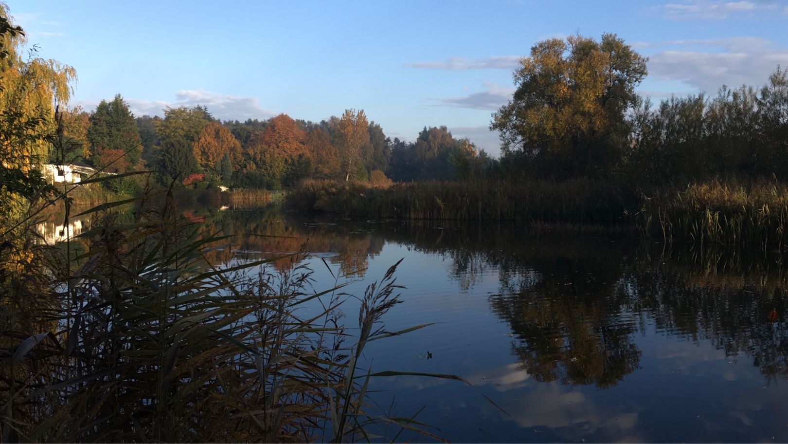 Doesburger Teiche und Grachten  angeln