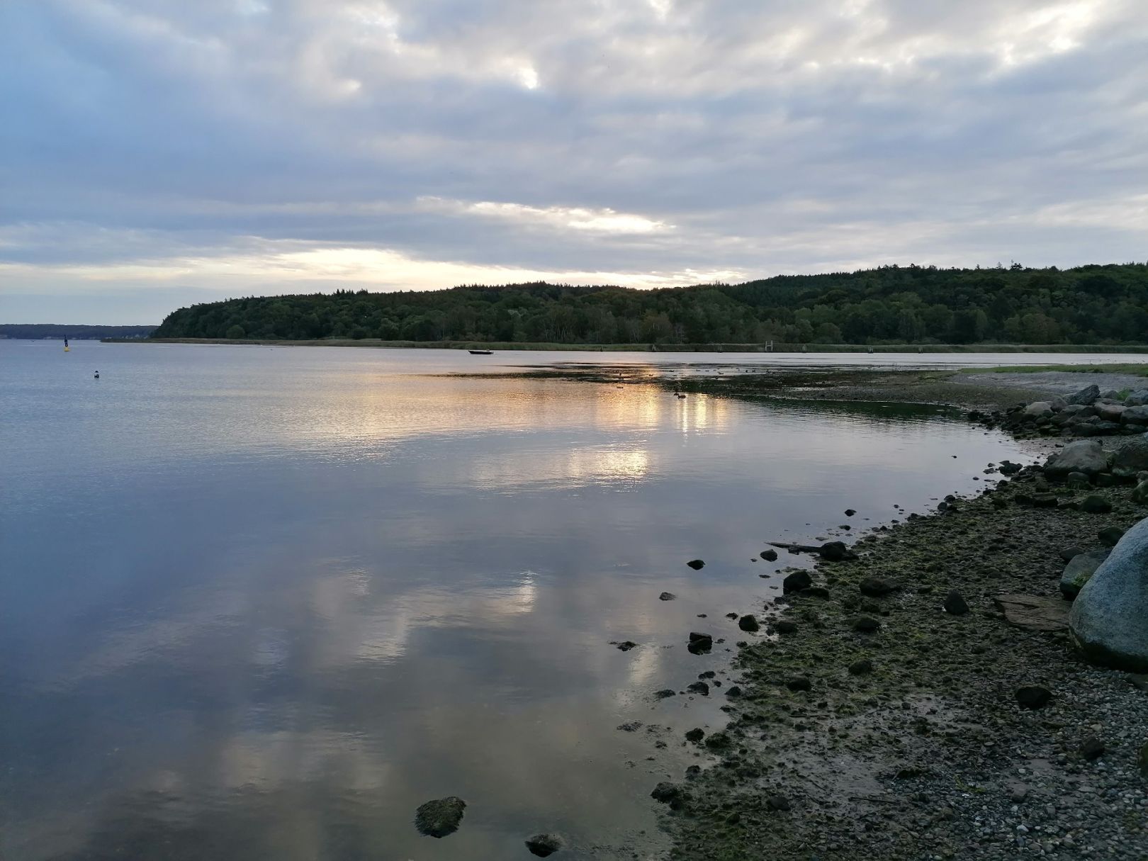 Jasmunder Bodden (Ralswiek) angeln