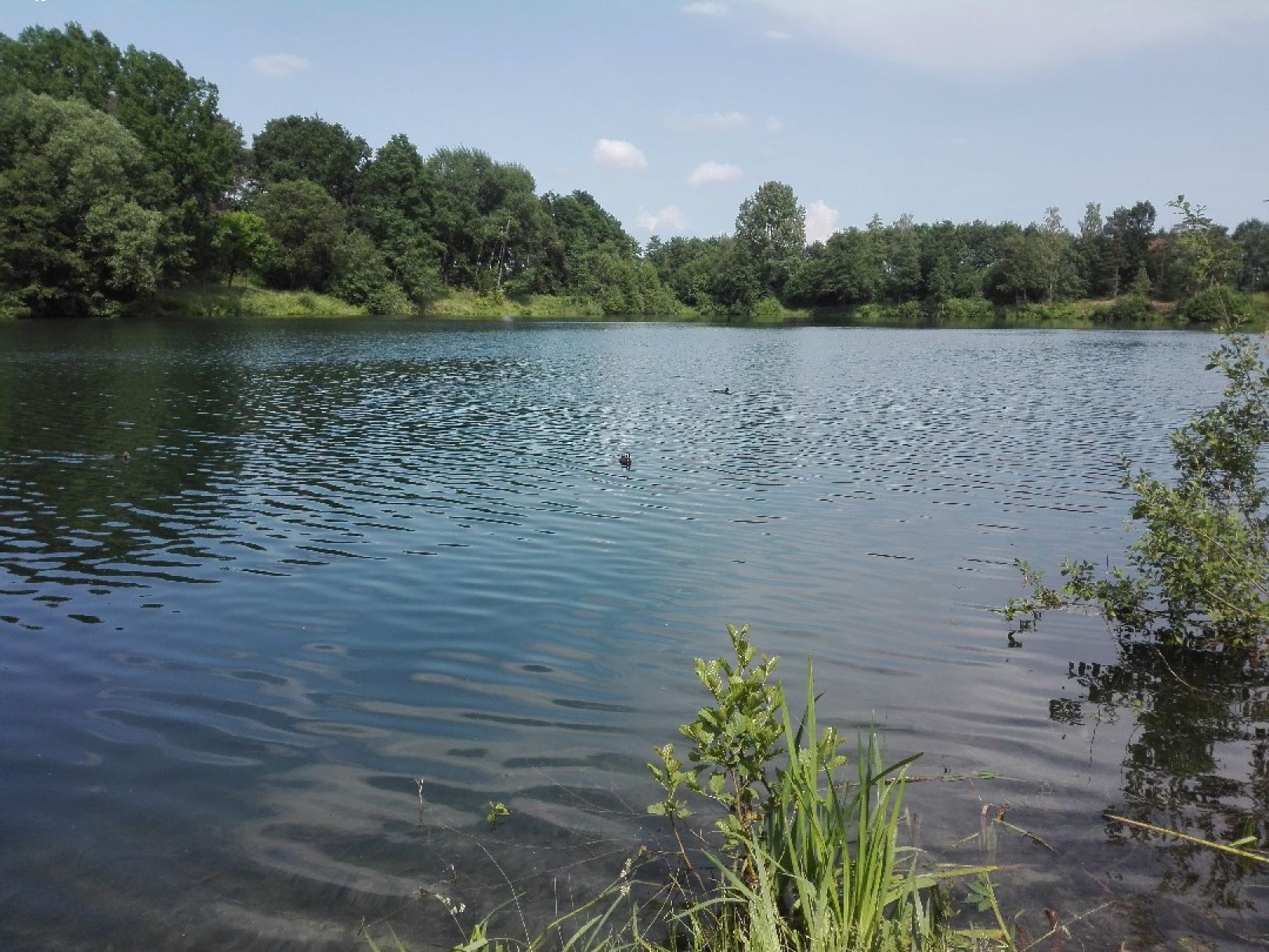 Kleiner Heidesee (Bad Laer) angeln