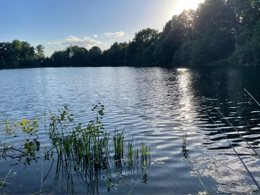 Kleiner Heidesee (Bad Laer) angeln