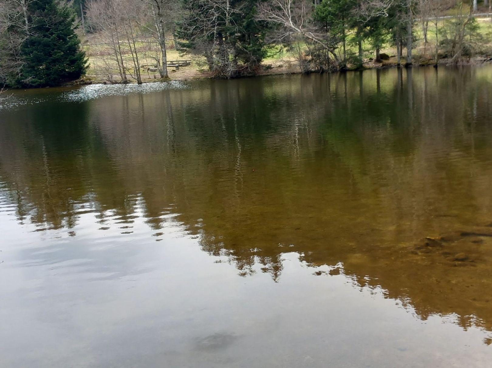 Lac de Longemer angeln