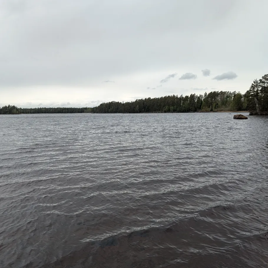 Vesljungasjön angeln