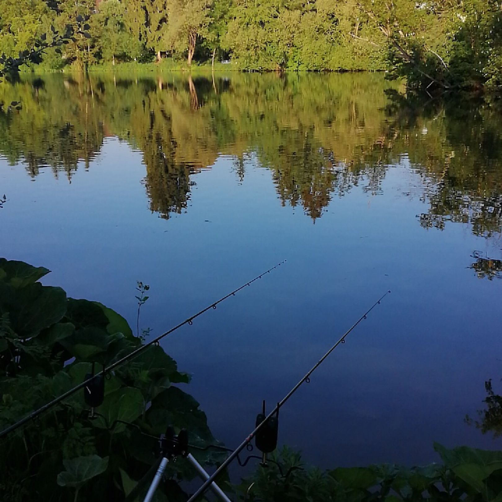 Regnitzsee (Altwasser Burk) angeln