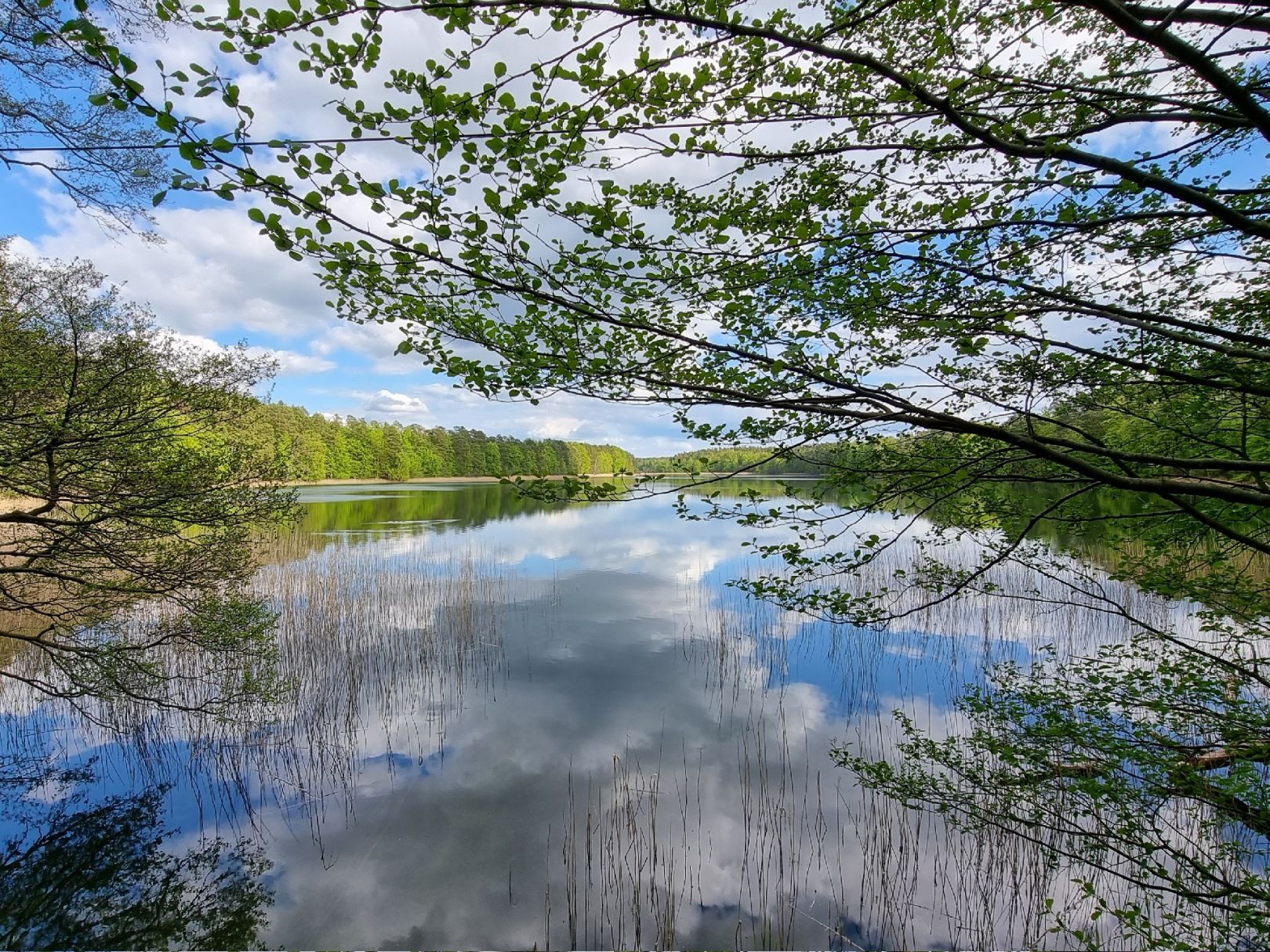 Platkowsee angeln